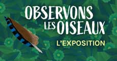 exposition déracinés de moselle