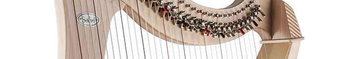 Guitare électrique