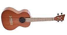 Guitare électrique